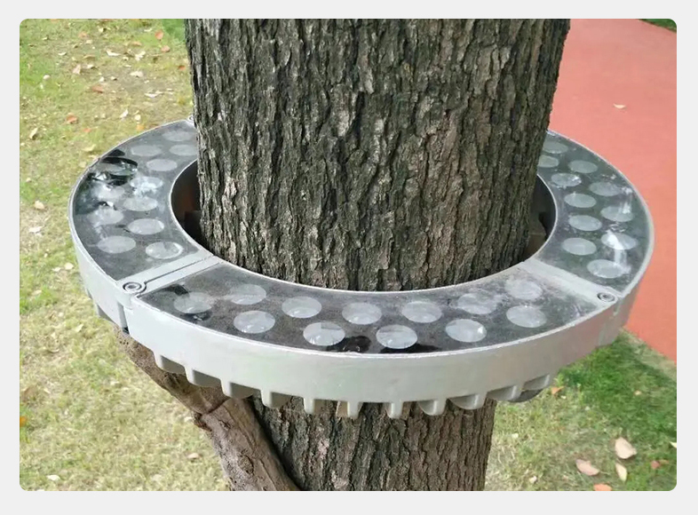 抱树灯